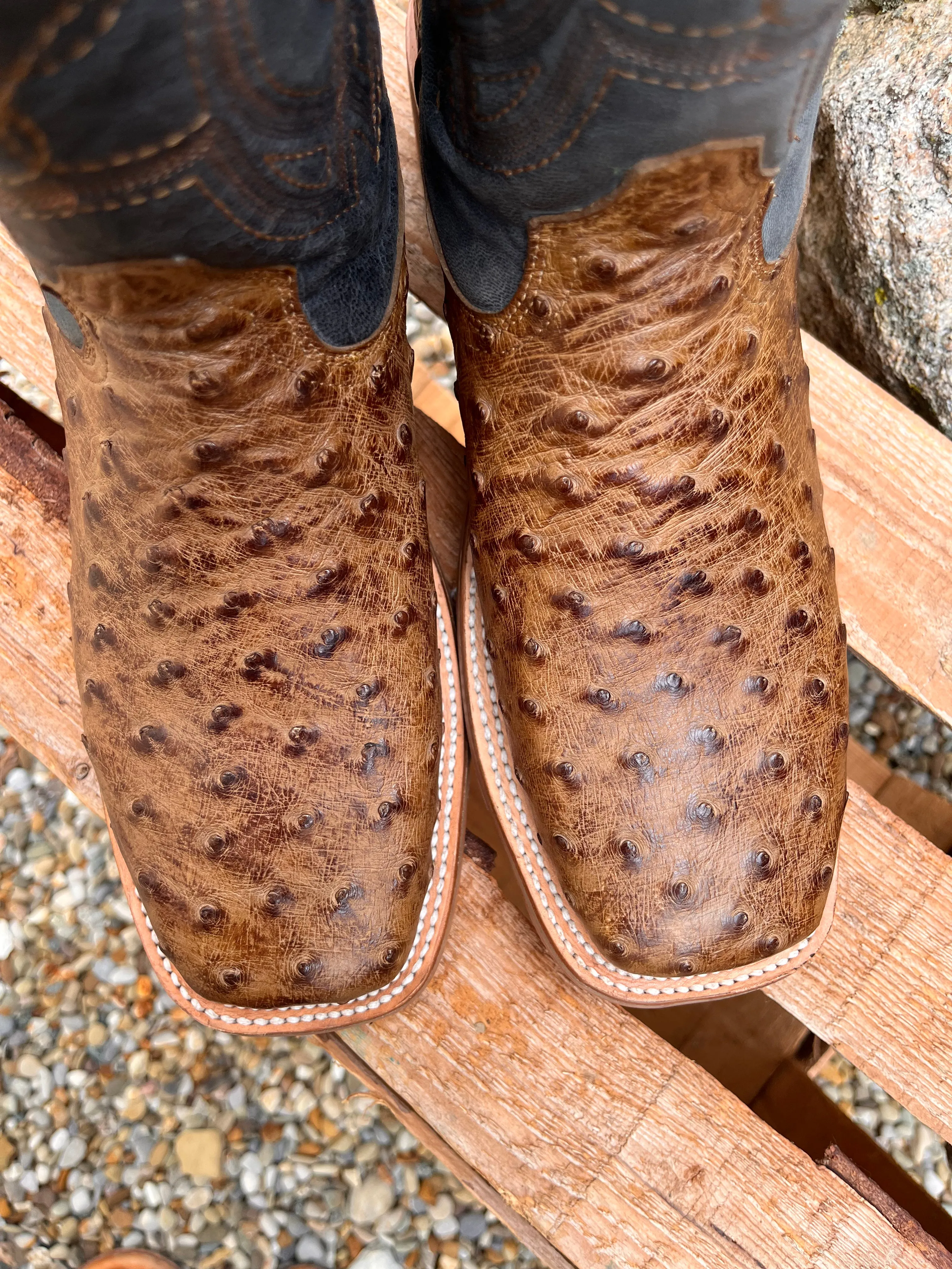 Corral Men's Orix Brown & Blue Ostrich Square Toe Cowboy Boots A4052