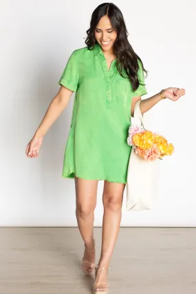 Loving the Sunshine Green Chambray Dress